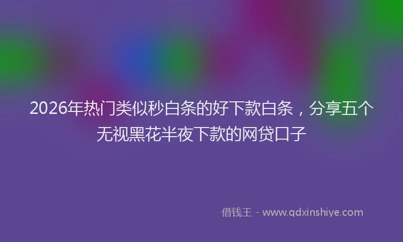 2026年热门类似秒白条的好下款白条，分享五个无视黑花半夜下款的网贷口子