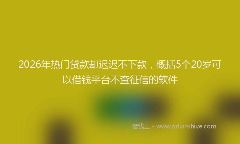 2026年热门贷款却迟迟不下款,概括5个20岁可以借钱平台不查征信的软件