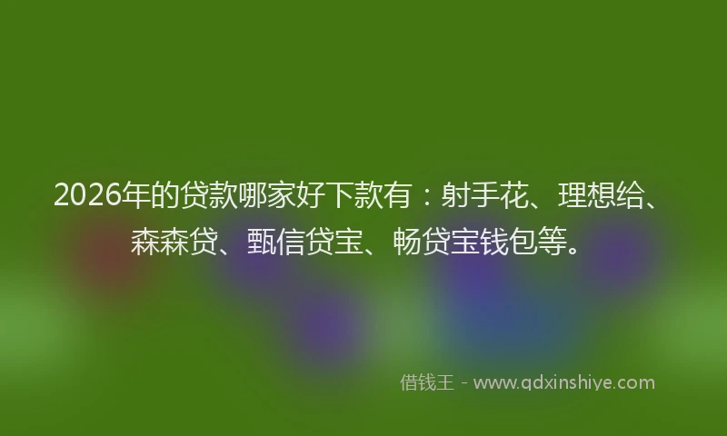 2026年的贷款哪家好下款有：射手花、理想给、森森贷、甄信贷宝、畅贷宝钱包等。