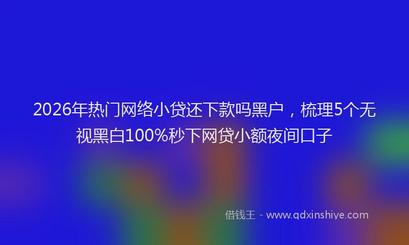 2026年热门网络小贷还下款吗黑户，梳理5个无视黑白100%秒下网贷小额夜间口子