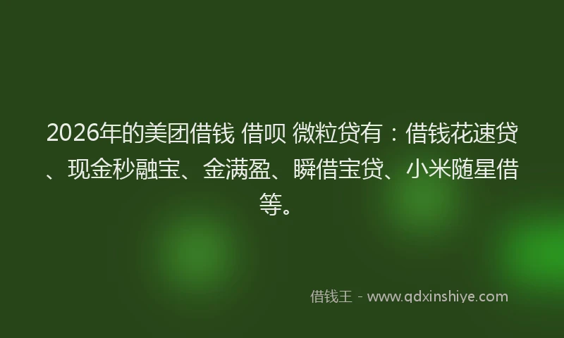 2026年的美团借钱 借呗 微粒贷有：借钱花速贷、现金秒融宝、金满盈、瞬借宝贷、小米随星借等。
