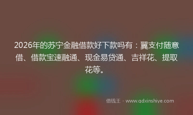 2026年的苏宁金融借款好下款吗有:翼支付随意借、借款宝速融通、现金易贷通、吉祥花、提取花等。