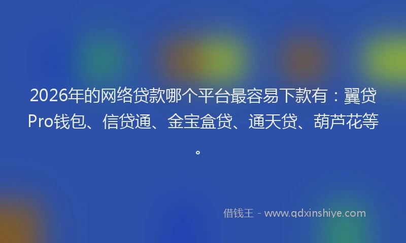 2026年的网络贷款哪个平台最容易下款有：翼贷Pro钱包、信贷通、金宝盒贷、通天贷、葫芦花等。