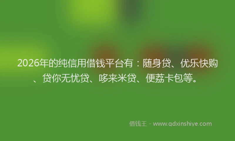 2026年的纯信用借钱平台有：随身贷、优乐快购、贷你无忧贷、哆来米贷、便荔卡包等。