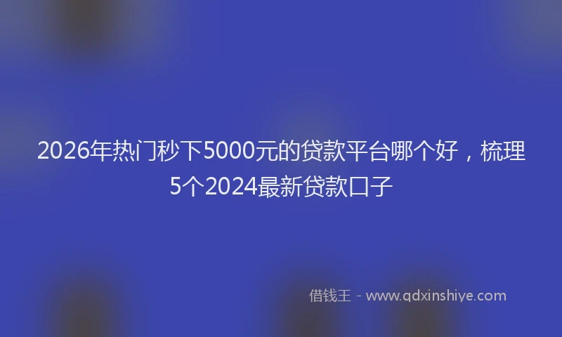 2026年热门秒下5000元的贷款平台哪个好，梳理5个2024最新贷款口子