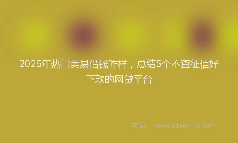 2026年热门美易借钱咋样，总结5个不查征信好下款的网贷平台