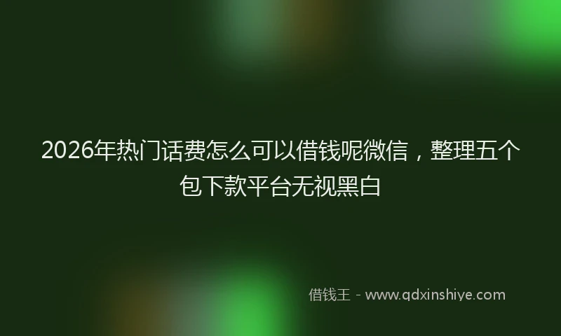 2026年热门话费怎么可以借钱呢微信，整理五个包下款平台无视黑白