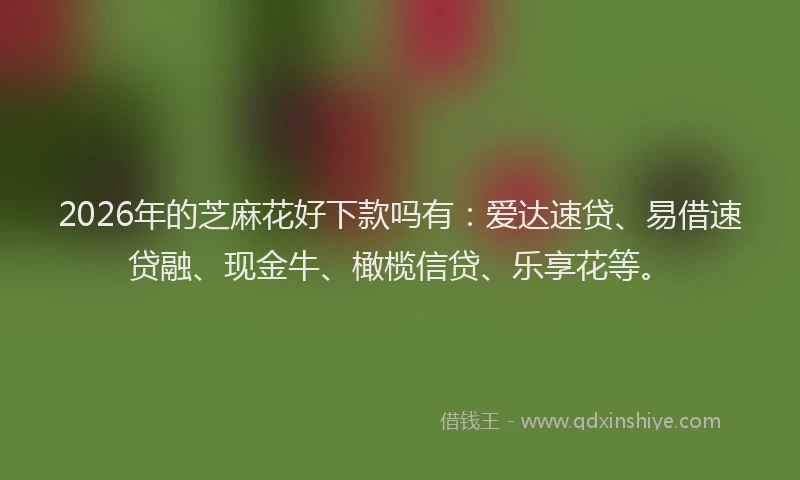2026年的芝麻花好下款吗有：爱达速贷、易借速贷融、现金牛、橄榄信贷、乐享花等。