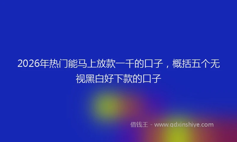 2026年热门能马上放款一千的口子，概括五个无视黑白好下款的口子