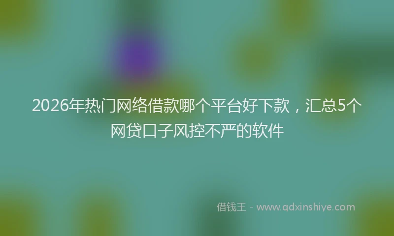 2026年热门网络借款哪个平台好下款，汇总5个网贷口子风控不严的软件