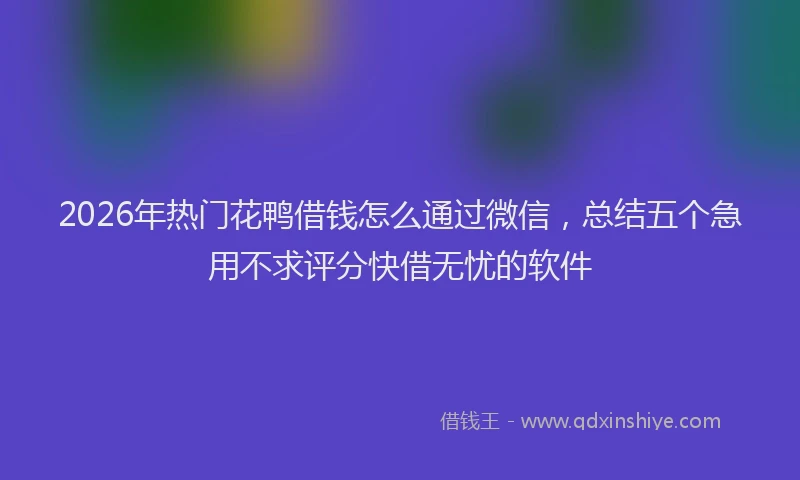 2026年热门花鸭借钱怎么通过微信，总结五个急用不求评分快借无忧的软件