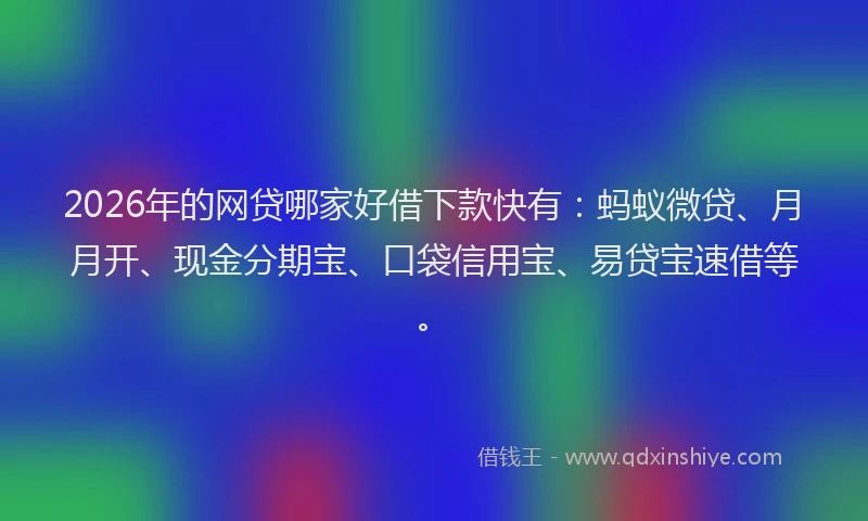 2026年的网贷哪家好借下款快有：蚂蚁微贷、月月开、现金分期宝、口袋信用宝、易贷宝速借等。