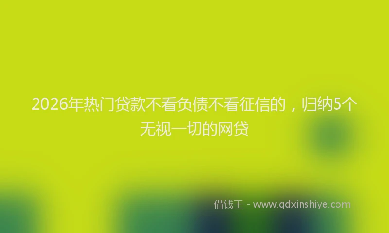 2026年热门贷款不看负债不看征信的，归纳5个无视一切的网贷