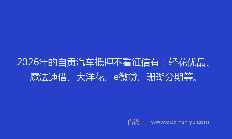 2026年的自贡汽车抵押不看征信有：轻花优品、魔法速借、大洋花、e微贷、珊瑚分期等。