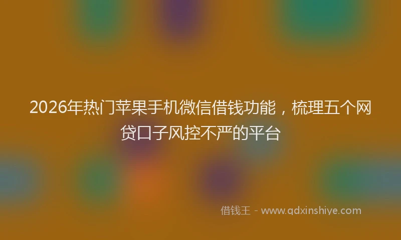 2026年热门苹果手机微信借钱功能,梳理五个网贷口子风控不严的平台