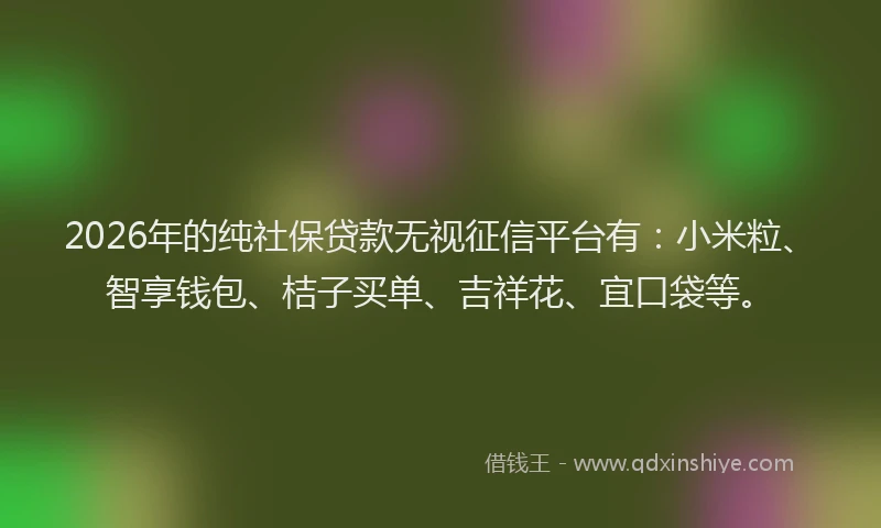 2026年的纯社保贷款无视征信平台有：小米粒、智享钱包、桔子买单、吉祥花、宜口袋等。