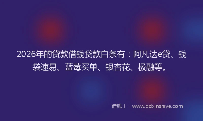 2026年的贷款借钱贷款白条有：阿凡达e贷、钱袋速易、蓝莓买单、银杏花、极融等。