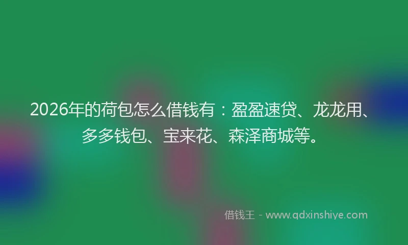 2026年的荷包怎么借钱有：盈盈速贷、龙龙用、多多钱包、宝来花、森泽商城等。