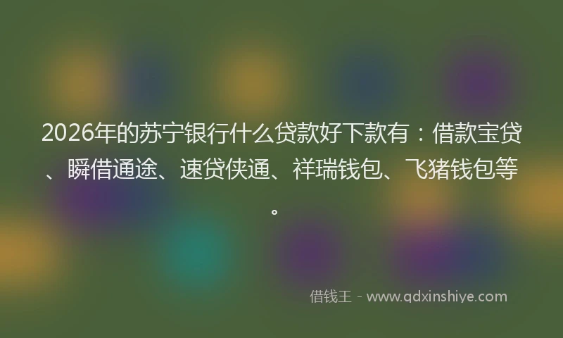 2026年的苏宁银行什么贷款好下款有:借款宝贷、瞬借通途、速贷侠通、祥瑞钱包、飞猪钱包等。