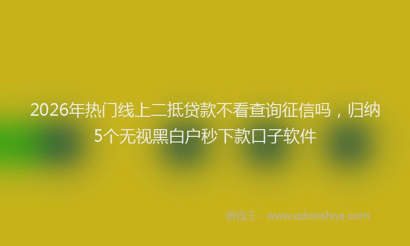2026年热门线上二抵贷款不看查询征信吗，归纳5个无视黑白户秒下款口子软件