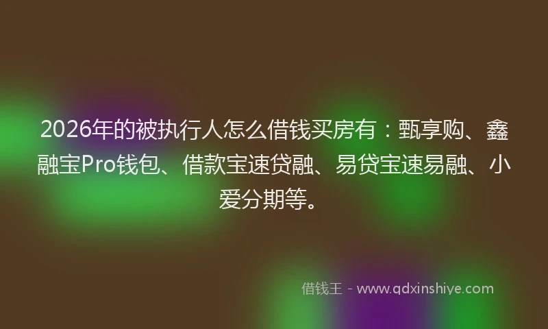 2026年的被执行人怎么借钱买房有:甄享购、鑫融宝Pro钱包、借款宝速贷融、易贷宝速易融、小爱分期等。