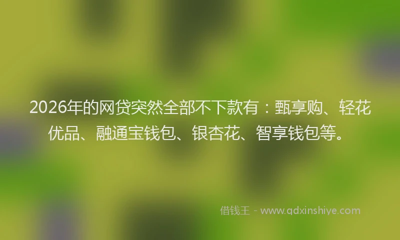 2026年的网贷突然全部不下款有：甄享购、轻花优品、融通宝钱包、银杏花、智享钱包等。
