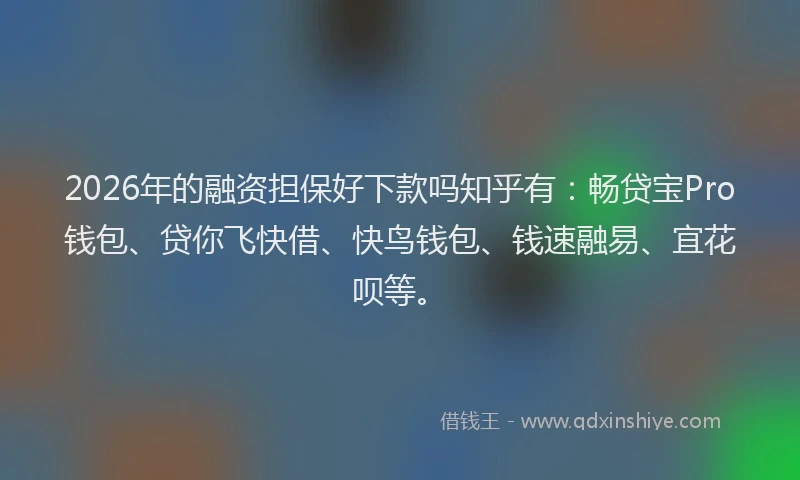 2026年的融资担保好下款吗知乎有：畅贷宝Pro钱包、贷你飞快借、快鸟钱包、钱速融易、宜花呗等。