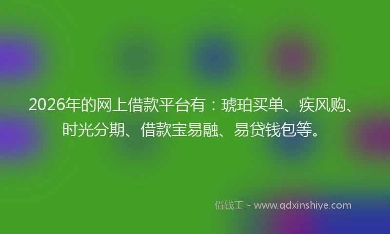 2026年的网上借款平台有：琥珀买单、疾风购、时光分期、借款宝易融、易贷钱包等。