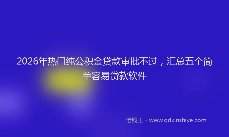 2026年热门纯公积金贷款审批不过,汇总五个简单容易贷款软件