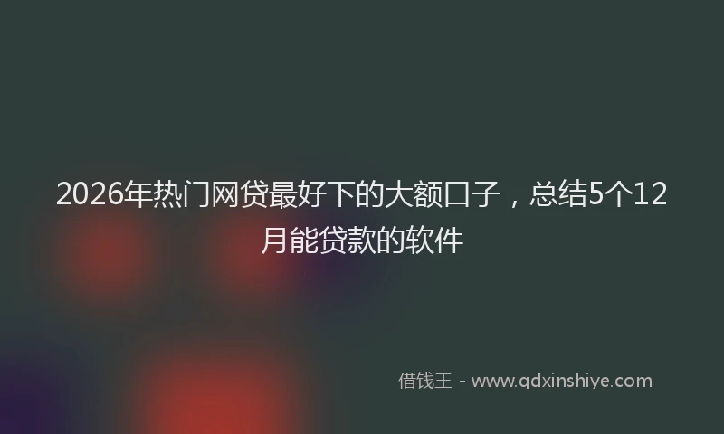 2026年热门网贷最好下的大额口子，总结5个12月能贷款的软件