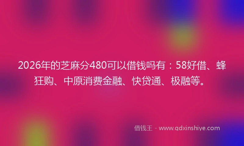 2026年的芝麻分480可以借钱吗有：58好借、蜂狂购、中原消费金融、快贷通、极融等。