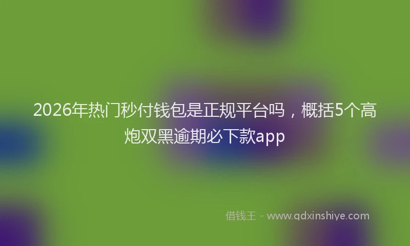2026年热门秒付钱包是正规平台吗，概括5个高炮双黑逾期必下款app