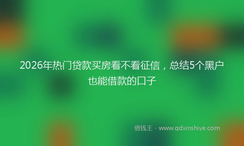 2026年热门贷款买房看不看征信，总结5个黑户也能借款的口子