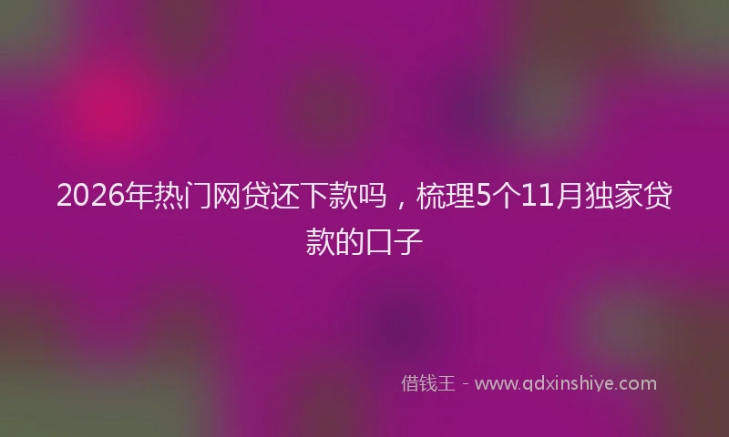 2026年热门网贷还下款吗，梳理5个11月独家贷款的口子