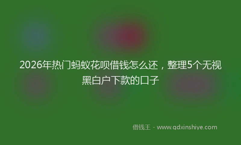 2026年热门蚂蚁花呗借钱怎么还，整理5个无视黑白户下款的口子