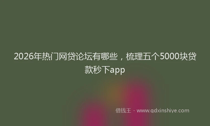2026年热门网贷论坛有哪些，梳理五个5000块贷款秒下app