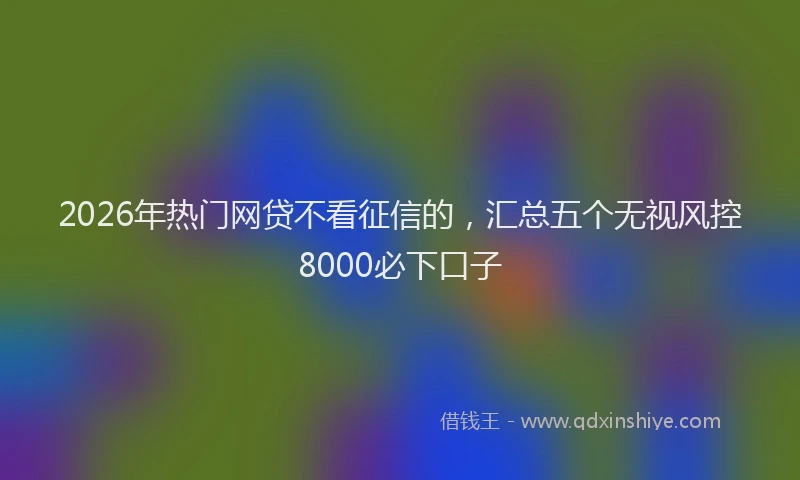2026年热门网贷不看征信的，汇总五个无视风控8000必下口子
