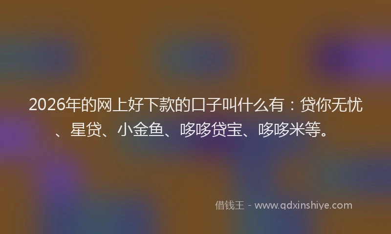 2026年的网上好下款的口子叫什么有：贷你无忧、星贷、小金鱼、哆哆贷宝、哆哆米等。