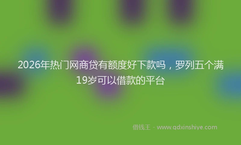 2026年热门网商贷有额度好下款吗，罗列五个满19岁可以借款的平台