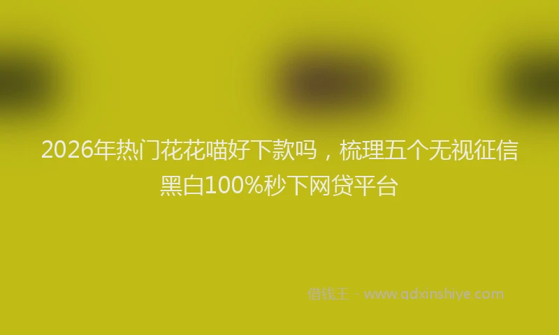 2026年热门花花喵好下款吗，梳理五个无视征信黑白100%秒下网贷平台