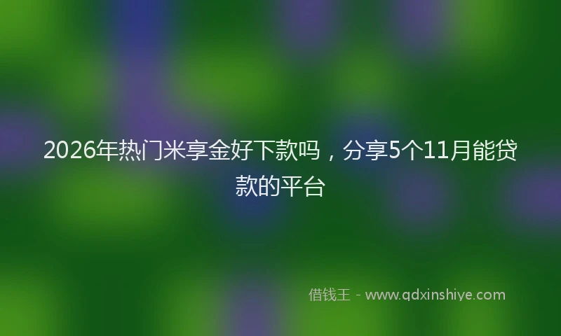 2026年热门米享金好下款吗，分享5个11月能贷款的平台