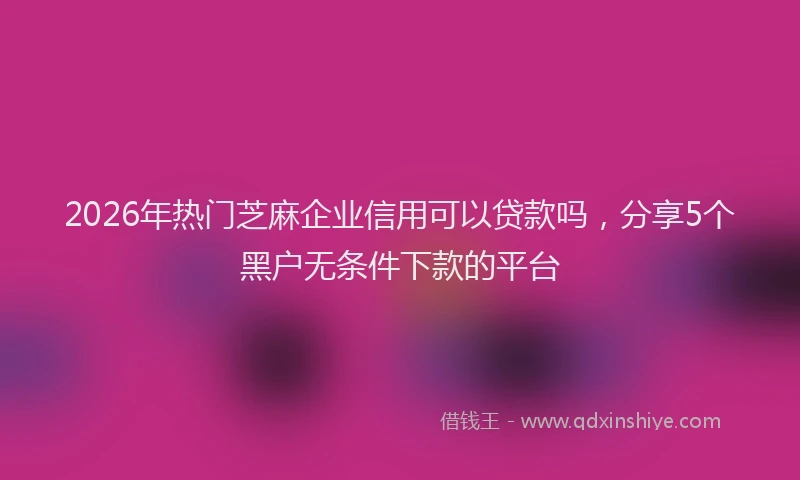 2026年热门芝麻企业信用可以贷款吗，分享5个黑户无条件下款的平台