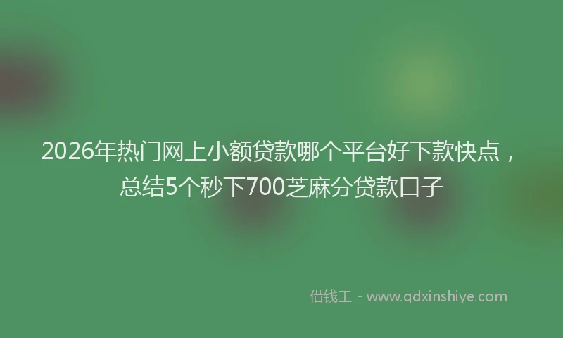 2026年热门网上小额贷款哪个平台好下款快点，总结5个秒下700芝麻分贷款口子
