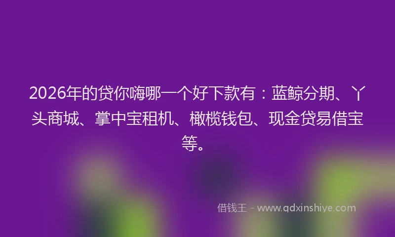2026年的贷你嗨哪一个好下款有：蓝鲸分期、丫头商城、掌中宝租机、橄榄钱包、现金贷易借宝等。