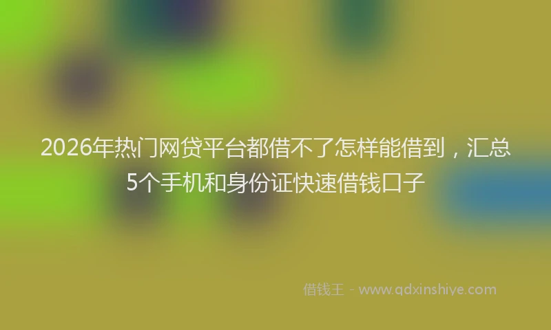 2026年热门网贷平台都借不了怎样能借到，汇总5个手机和身份证快速借钱口子