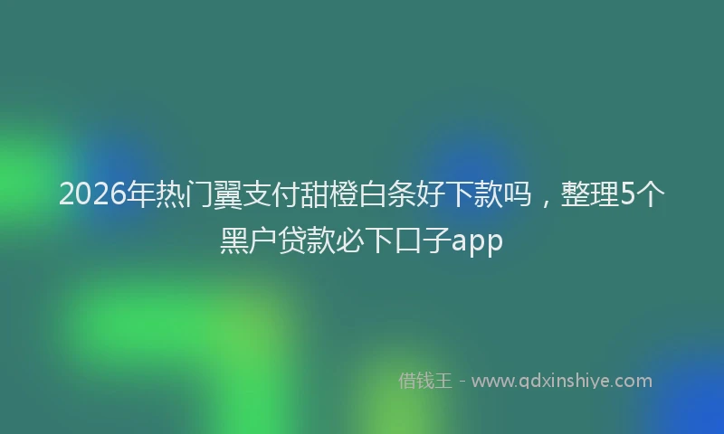 2026年热门翼支付甜橙白条好下款吗，整理5个黑户贷款必下口子app