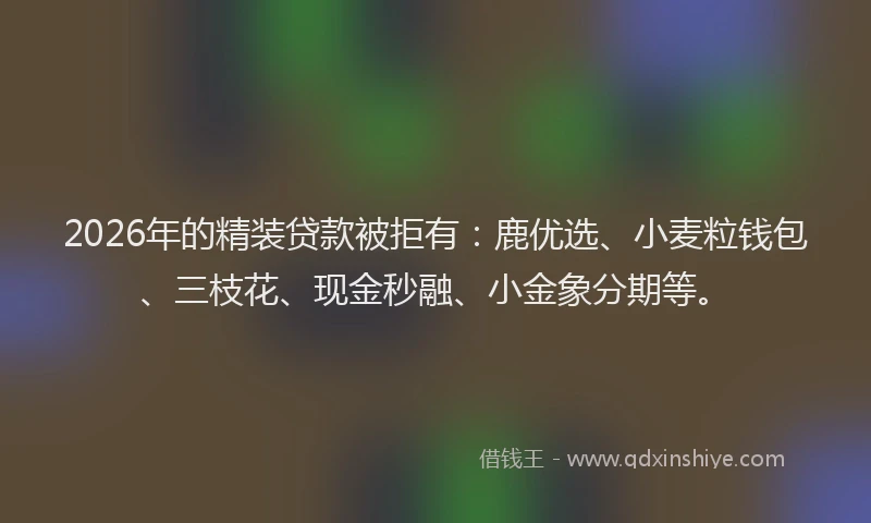 2026年的精装贷款被拒有：鹿优选、小麦粒钱包、三枝花、现金秒融、小金象分期等。