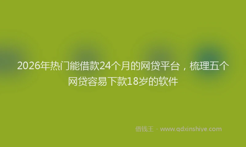 2026年热门能借款24个月的网贷平台，梳理五个网贷容易下款18岁的软件