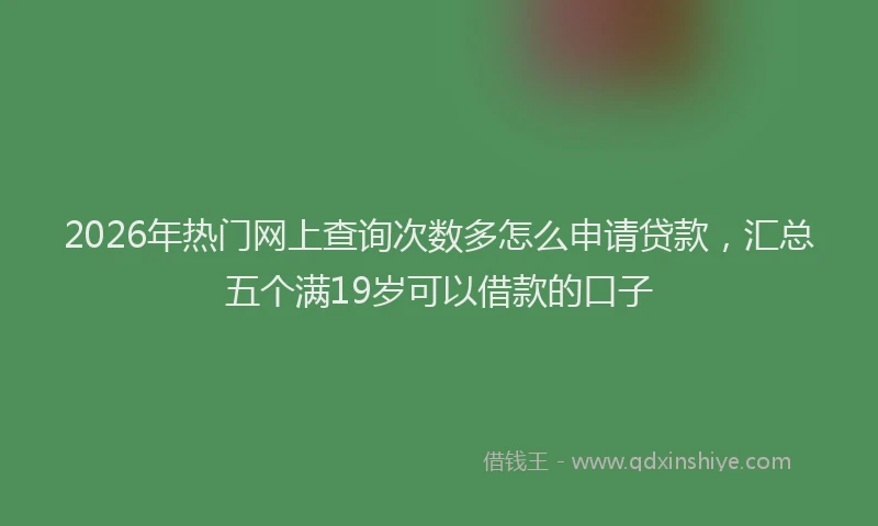 2026年热门网上查询次数多怎么申请贷款，汇总五个满19岁可以借款的口子
