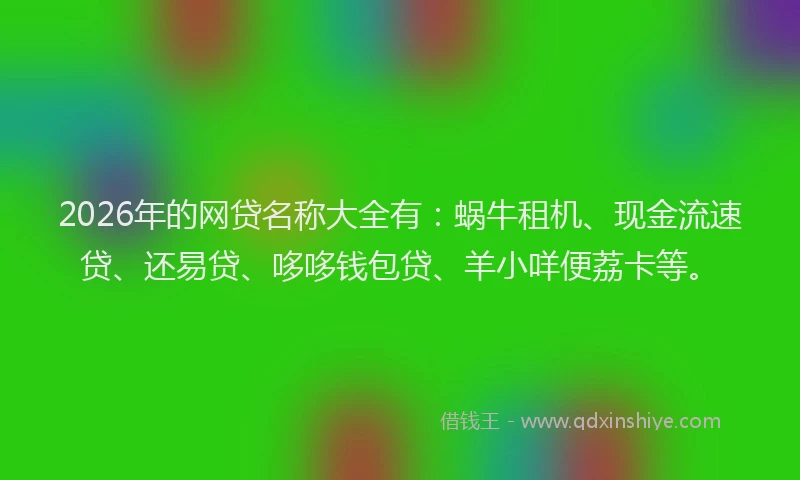 2026年的网贷名称大全有：蜗牛租机、现金流速贷、还易贷、哆哆钱包贷、羊小咩便荔卡等。